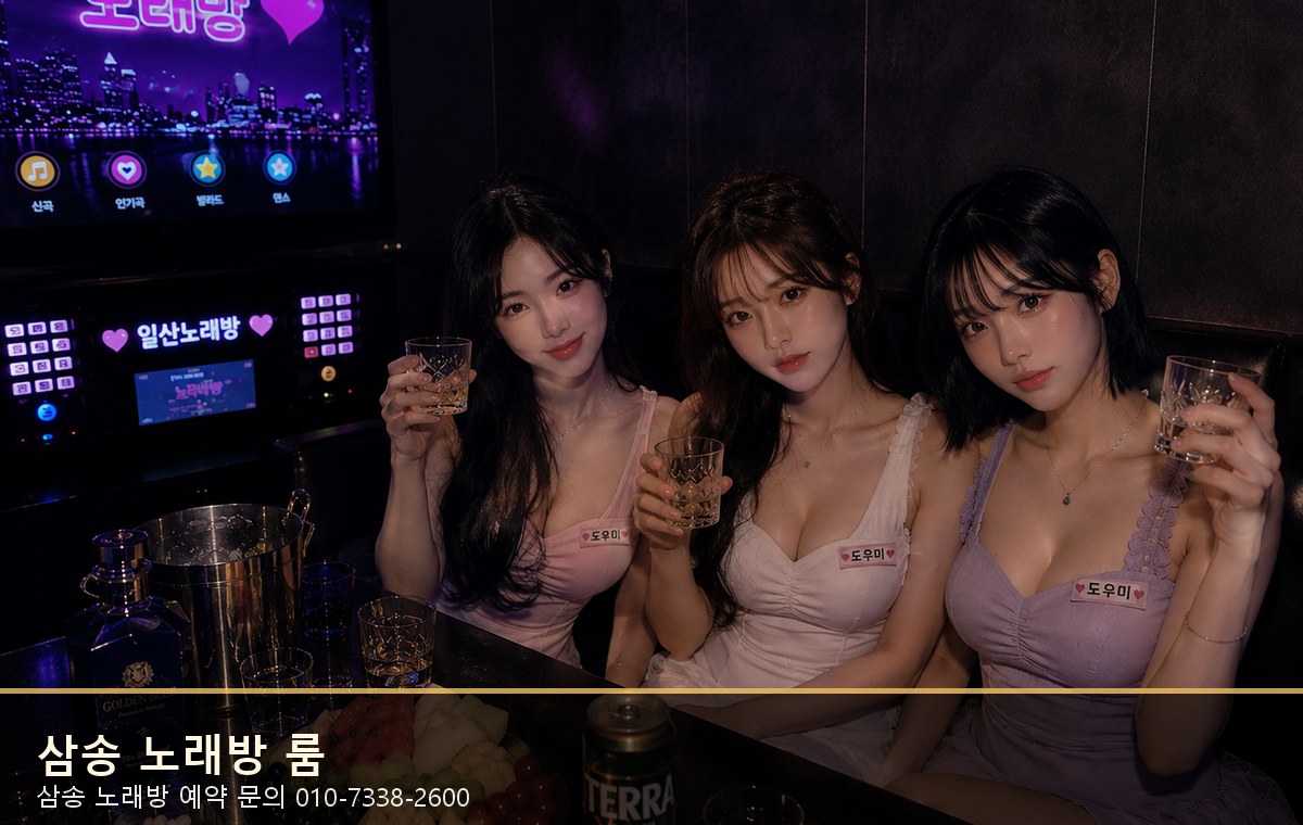 삼송 노래방 룸 분위기 — 삼송 노래방 예약 010-7338-2600